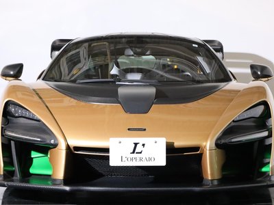 2019 Mclaren SENNA photo 47
