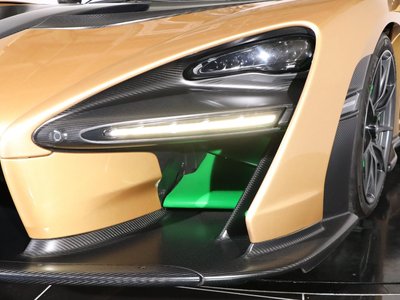 2019 Mclaren SENNA photo 135