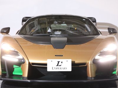 2019 Mclaren SENNA photo 34