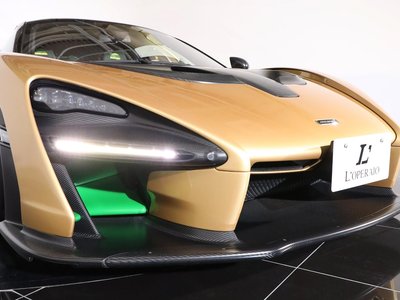 2019 Mclaren SENNA photo 108