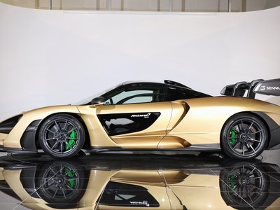 2019 Mclaren SENNA photo 146