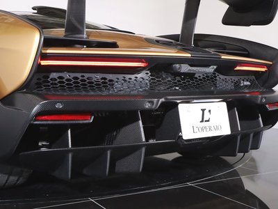 2019 Mclaren SENNA photo 119