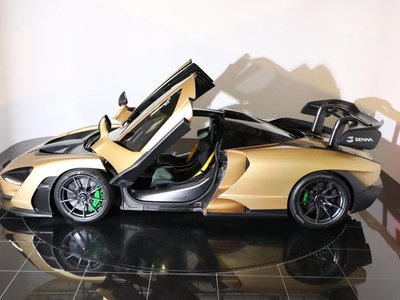 2019 Mclaren SENNA photo 140
