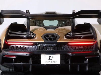 2019 Mclaren SENNA photo 38