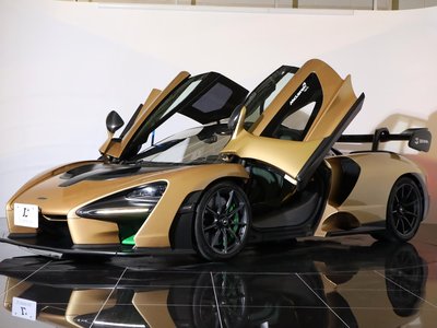 2019 Mclaren SENNA photo 54
