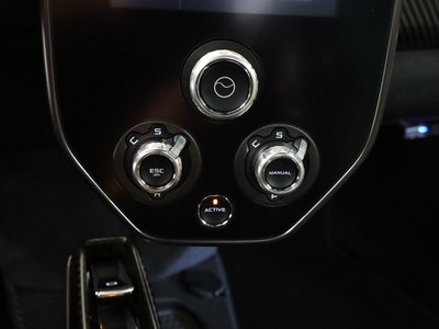 2019 Mclaren SENNA photo 84
