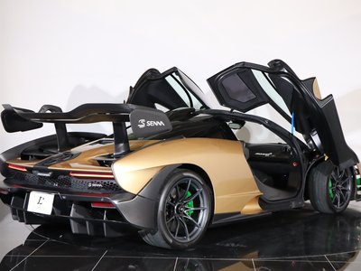 2019 Mclaren SENNA photo 55