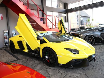 2014 Lamborghini AVENTADOR 照片 7