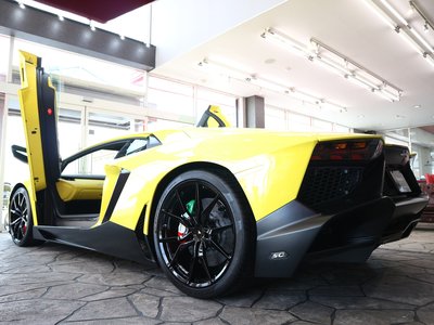 2014 Lamborghini AVENTADOR 照片 14