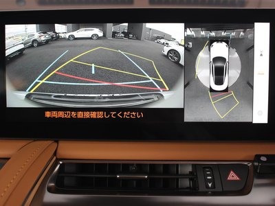 2025 Lexus LC CONVERTIBLE thumbnail 20