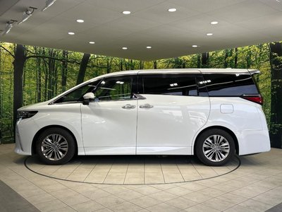 2024 Toyota ALPHARD 缩略图 30