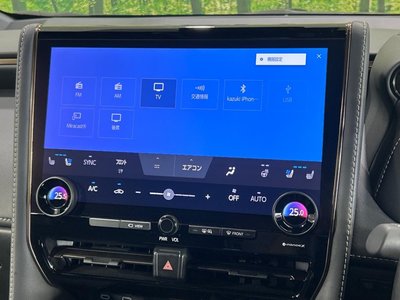 2024 Toyota ALPHARD 缩略图 53