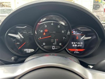 2021 Porsche 718 缩略图 18