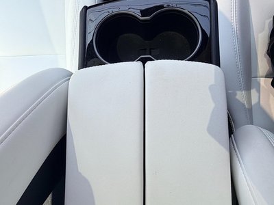 2020 Tesla MODEL S 缩略图 53