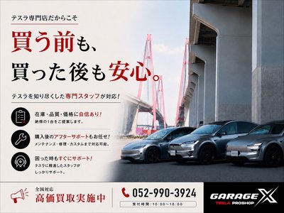 2020 Tesla MODEL S 缩略图 2