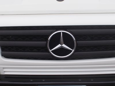 2006 Mercedes-BENZ G-CLASS AMG — фото 5