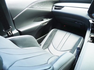 2024 Lexus RX thumbnail 69