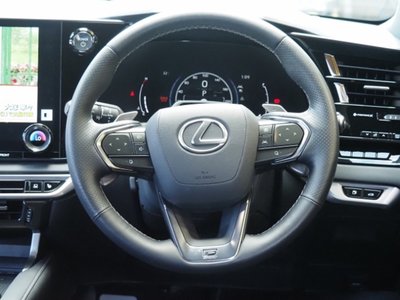 2024 Lexus RX thumbnail 42