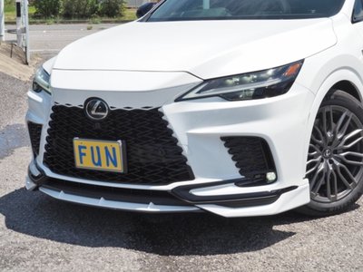 2024 Lexus RX photo 10