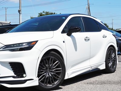 2024 Lexus RX photo 14