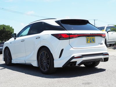 2024 Lexus RX photo 6