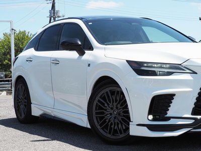 2024 Lexus RX photo 13