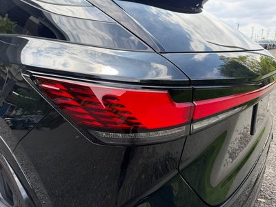 2024 Lexus RX thumbnail 32