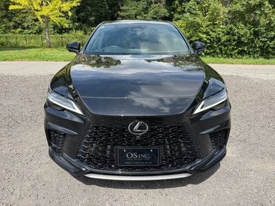 2024 Lexus RX thumbnail 24