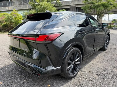 2024 Lexus RX thumbnail 28