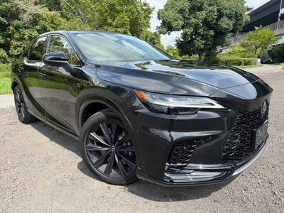 2024 Lexus RX thumbnail 17