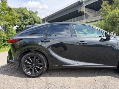 2024 Lexus RX thumbnail 22