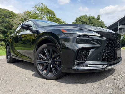2024 Lexus RX thumbnail 18