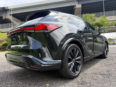 2024 Lexus RX thumbnail 29