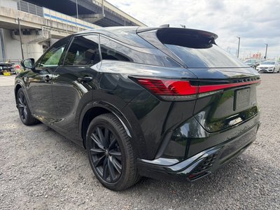 2024 Lexus RX thumbnail 33