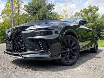 2024 Lexus RX photo 10