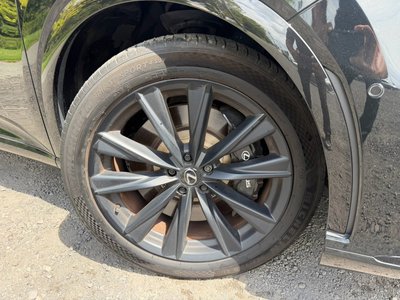 2024 Lexus RX thumbnail 19
