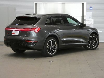 2025 AUDI Q8 E-TRON — миниатюра 18