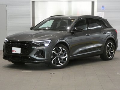 2025 AUDI Q8 E-TRON photo 1