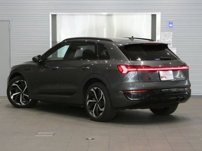 2025 AUDI Q8 E-TRON photo 14