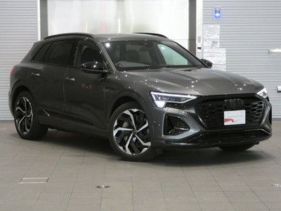 2025 AUDI Q8 E-TRON — миниатюра 25