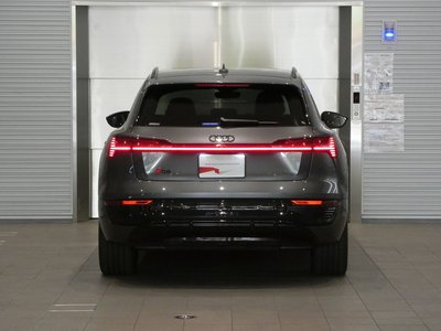 2025 AUDI Q8 E-TRON — миниатюра 21