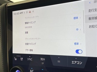 2025 Toyota ALPHARD — фото 8