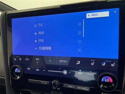 2025 Toyota ALPHARD — фото 6