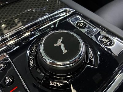 صورة 33 لـ 2021 ROLLS-ROYCE CULLINAN