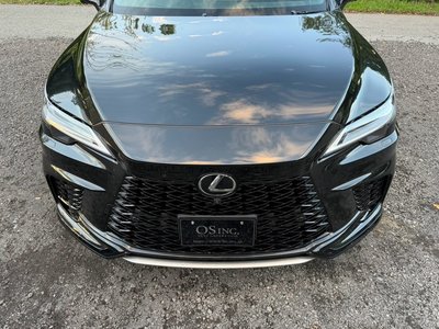 2023 Lexus RX thumbnail 22