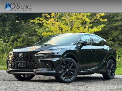 2023 Lexus RX photo 1