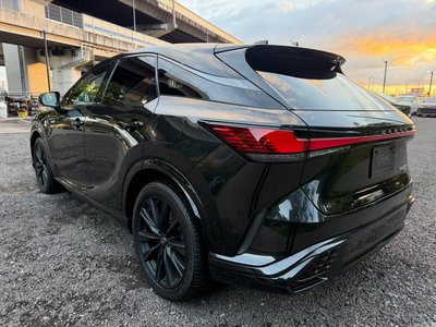 2023 Lexus RX thumbnail 31