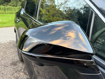 2023 Lexus RX thumbnail 19