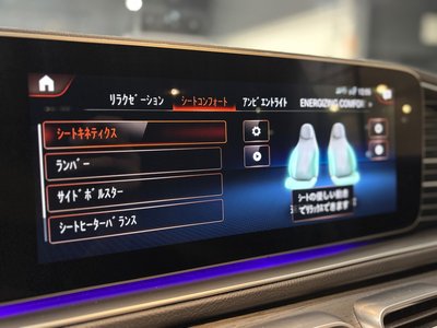 2021 Mercedes-BENZ GLS thumbnail 55