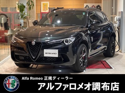 2019 ALFA Romeo STELVIO — фото 1